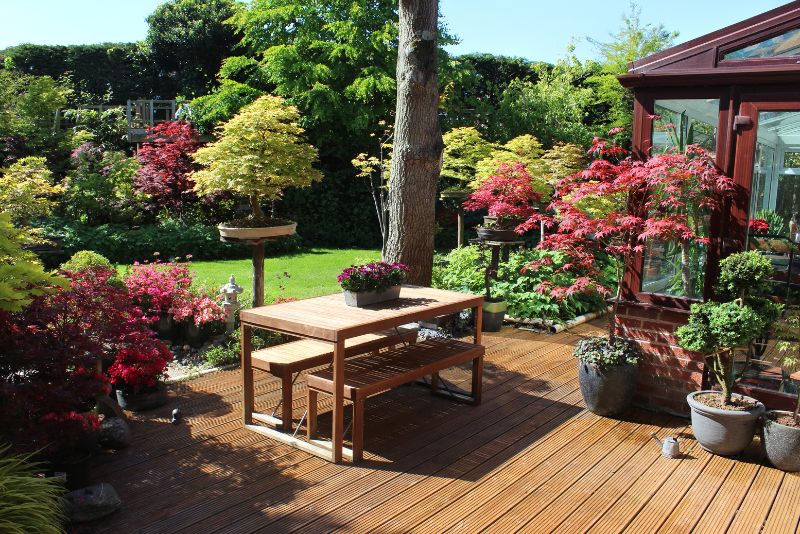 timber deck well decorated with potted house plants